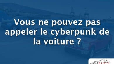 Vous ne pouvez pas appeler le cyberpunk de la voiture ?